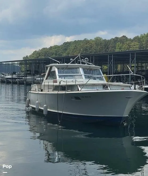 The Image of Chris-Craft 38 Commander 1967 - 16544314