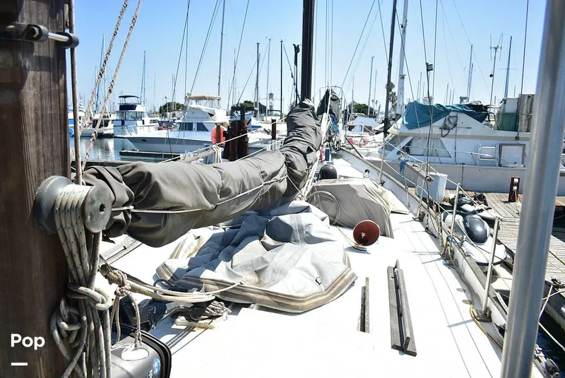 Slide: The Image of Duncan Porpoise 52 1972 - 16628284