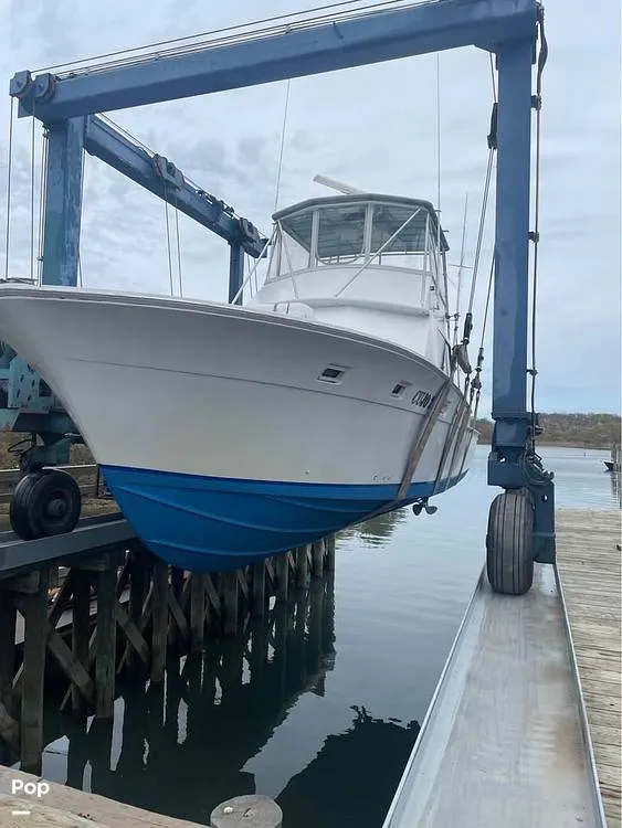 The Image of Bertram 46 Sportfish 1978 - 16521455