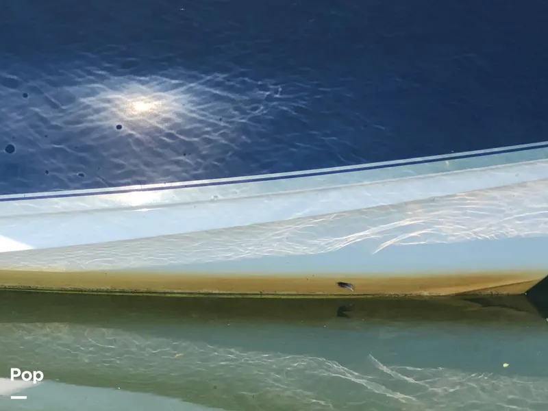 Slide: The Image of Sea Hunt Escape 211 LE 2017 - 16612703
