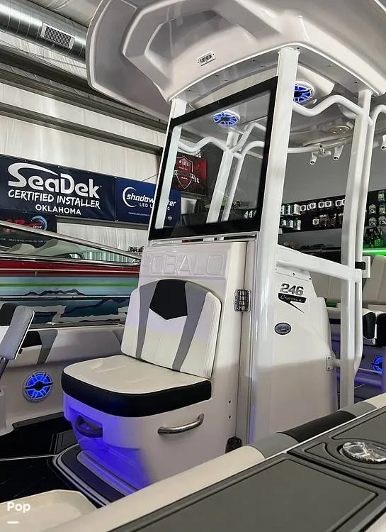 The Image of Robalo 246 Cayman 2023 - 16527228