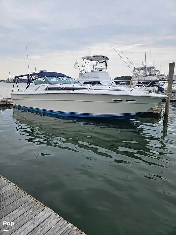 The Image of Sea Ray 390 EC 1987 - 16526224