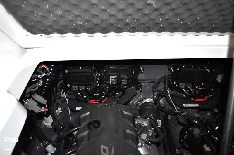 Slide: The Image of Yamaha 255 FSH Sport E 2025 - 16710041