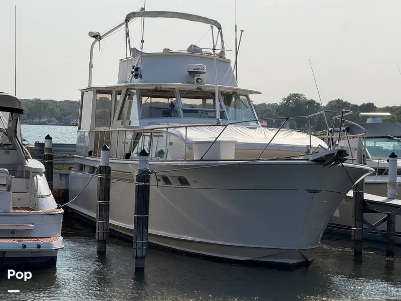 The Image of 1967 Chris-craft Commander 47 - 16683607