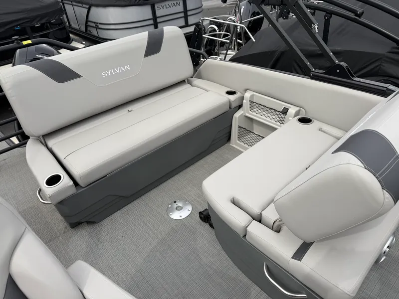 Slide: The Image of Sylvan L1 2025 - 10