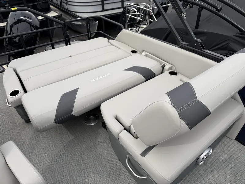 Slide: The Image of Sylvan L1 2025 - 11