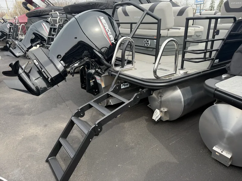 Slide: The Image of Sylvan L1 2025 - 21