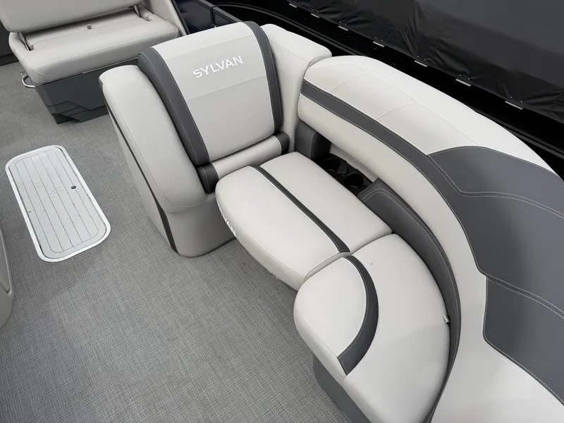 Slide: The Image of Sylvan L1 2025 - 6