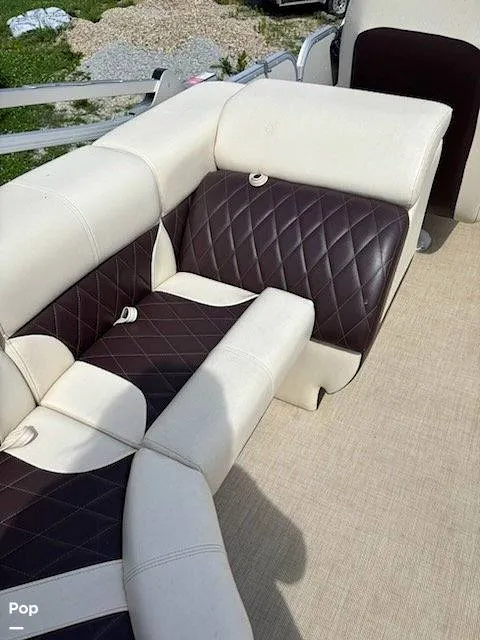 Slide: The Image of Lexington Palm Breeze 521 2023 - 16545441