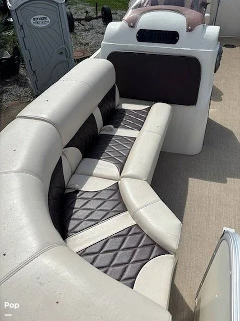 Slide: The Image of Lexington Palm Breeze 521 2023 - 16545436