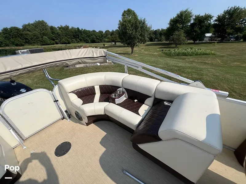Slide: The Image of Lexington Palm Breeze 521 2023 - 16606058
