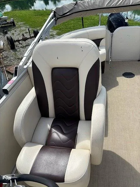 Slide: The Image of Lexington Palm Breeze 521 2023 - 16545435