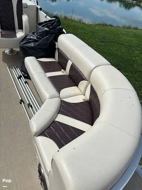 Slide: The Image of Lexington Palm Breeze 521 2023 - 16545437