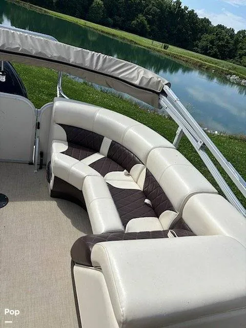 Slide: The Image of Lexington Palm Breeze 521 2023 - 16545447