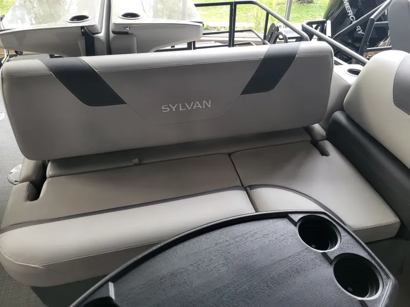Slide: The Image of Sylvan L3 2025 - 10
