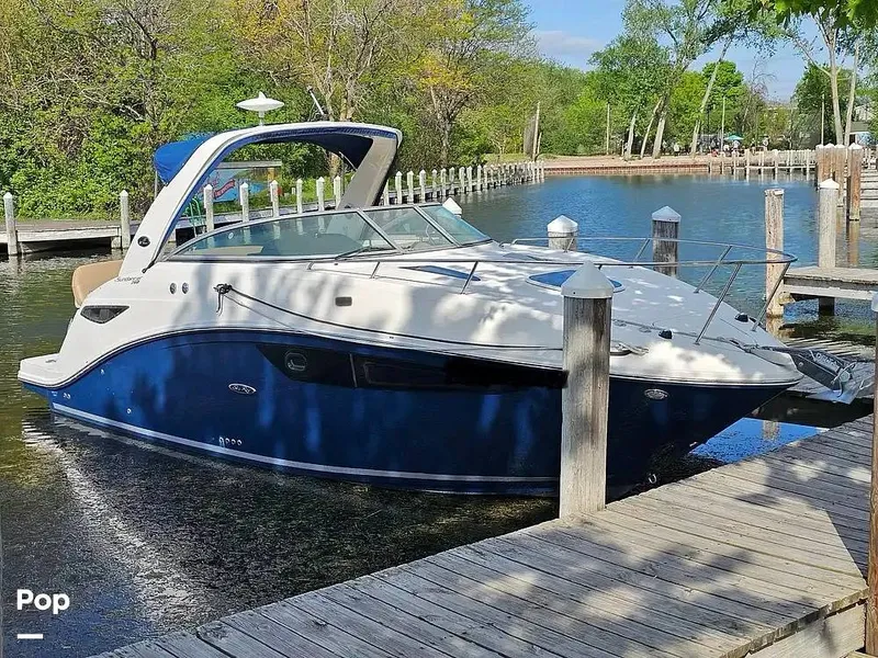 The Image of Sea Ray 260 Sundancer 2016 - 16582484