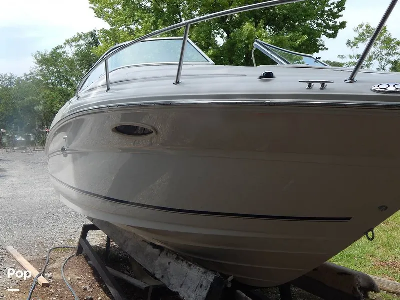 The Image of Sea Ray 240 Sundeck 2004 - 16573438