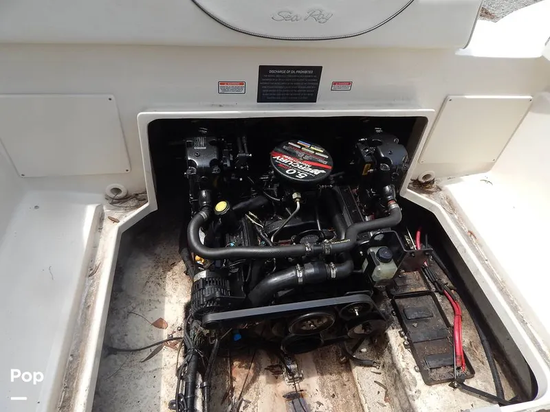 Slide: The Image of Sea Ray 240 Sundeck 2004 - 16573269