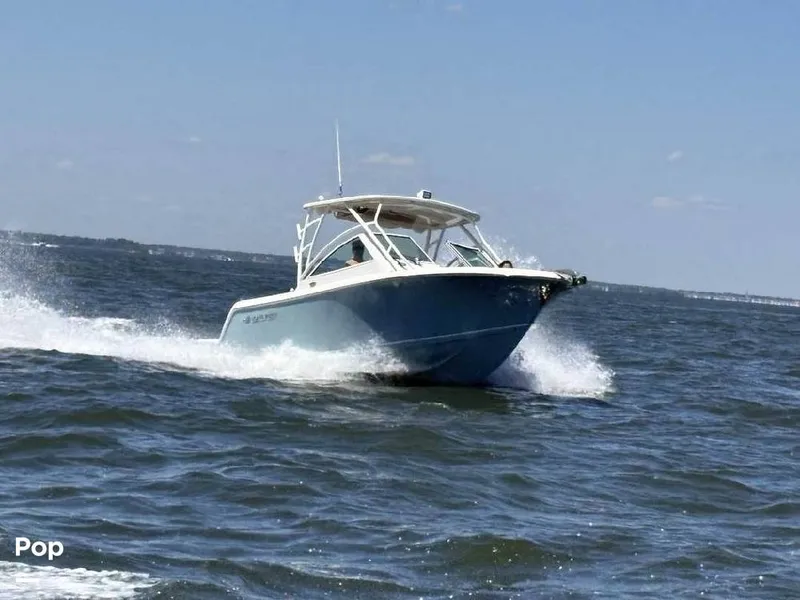 The Image of Sailfish 245DC 2021 - 16585639