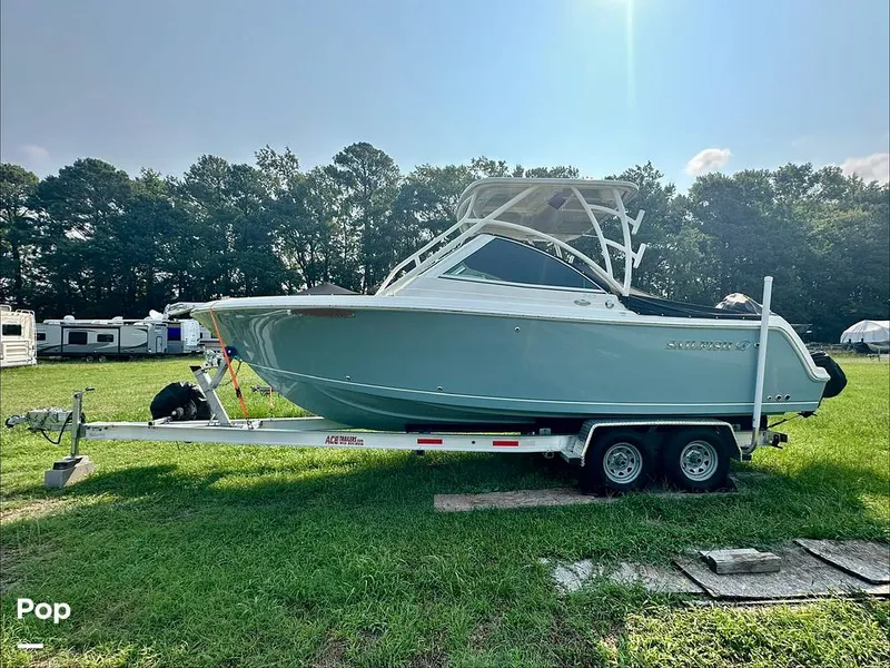 The Image of Sailfish 245DC 2021 - 16601352