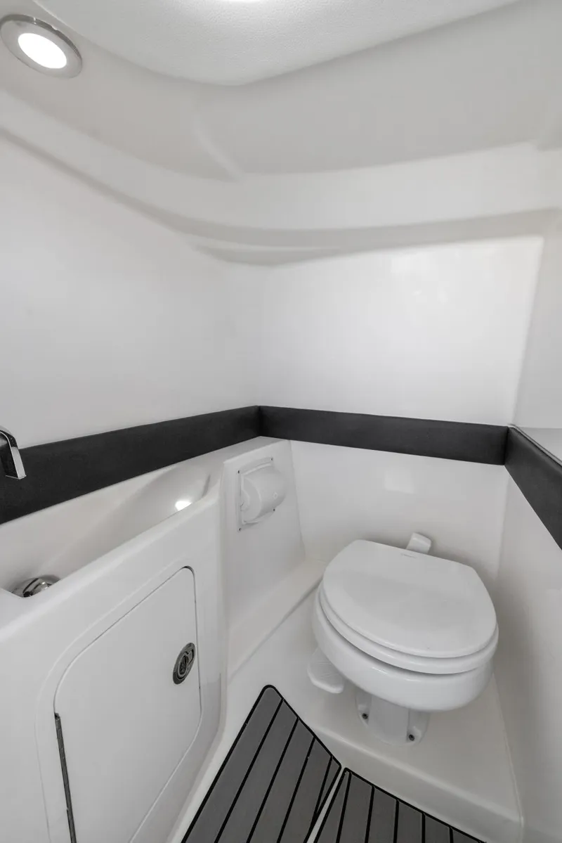 Slide: The Image of Sea Ray 260 SLX OB 2024 - 25