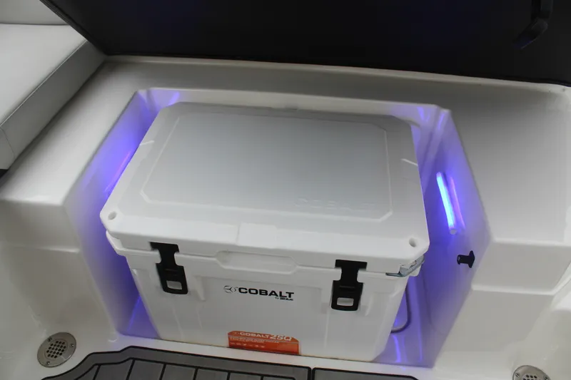 Slide: The Image of Sea Ray 230 SPX OB 2024 - 25