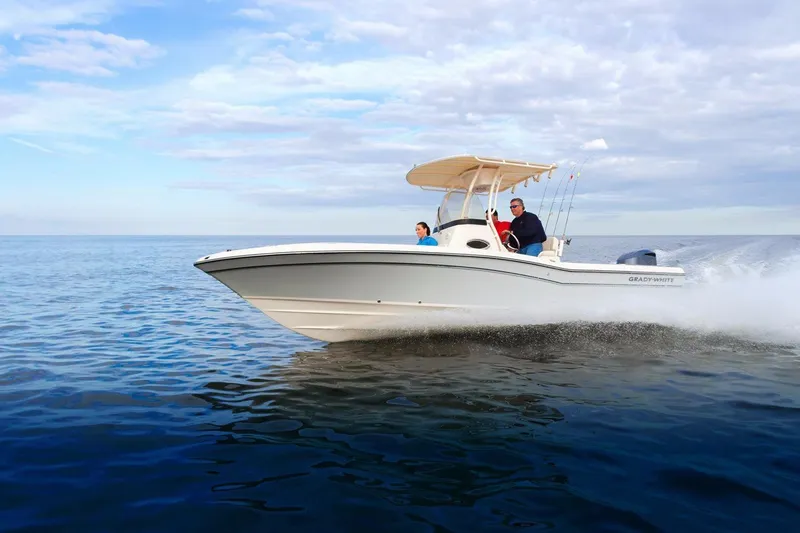 The Image of Grady-White 231 CE 2026 - 0