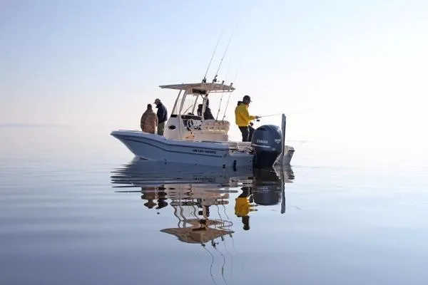 Slide: The Image of Grady-White 231 CE 2026 - 10