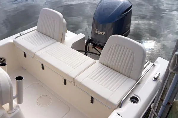 Slide: The Image of Grady-White 231 CE 2026 - 21