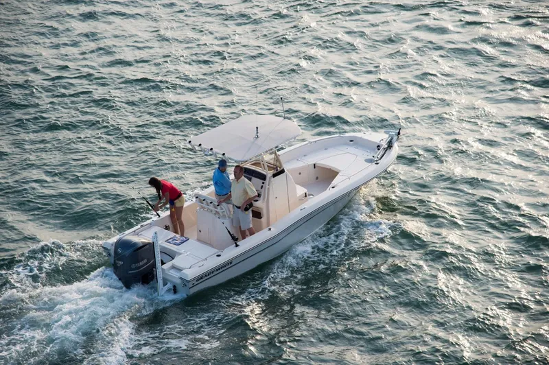 Slide: The Image of Grady-White 231 CE 2026 - 3