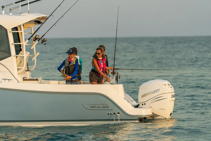 Slide: The Image of Boston Whaler 325 Conquest 2026 - 15