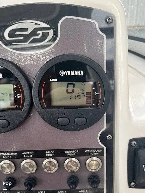 Slide: The Image of Sea Fox 226 2021 - 16607713