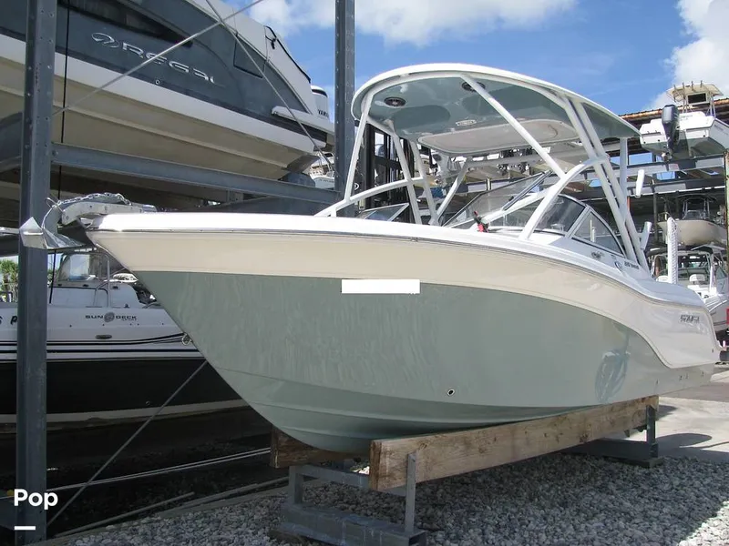 Slide: The Image of Sea Fox 226 Traveler 2021 - 16640895