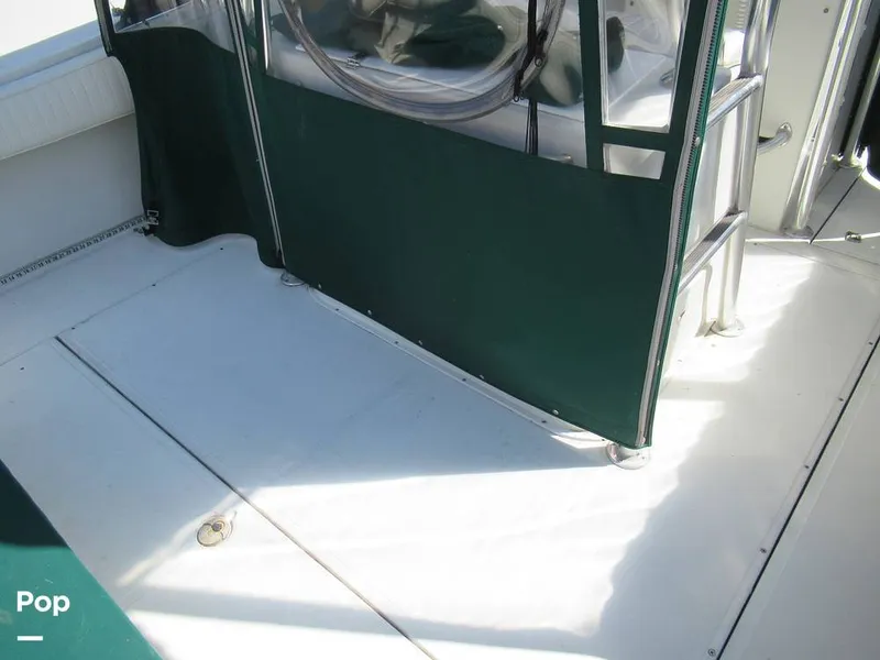 Slide: The Image of Stamas Tarpon 290 1999 - 16690403
