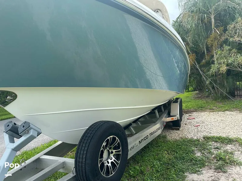 Slide: The Image of Everglades 335CC 2018 - 16632092