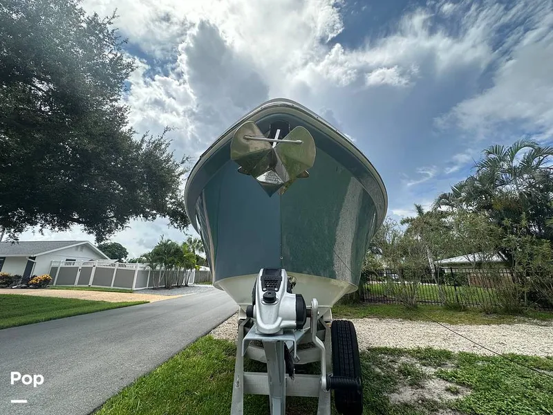 Slide: The Image of Everglades 335CC 2018 - 16632086