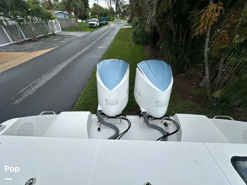Slide: The Image of Everglades 335CC 2018 - 16632178