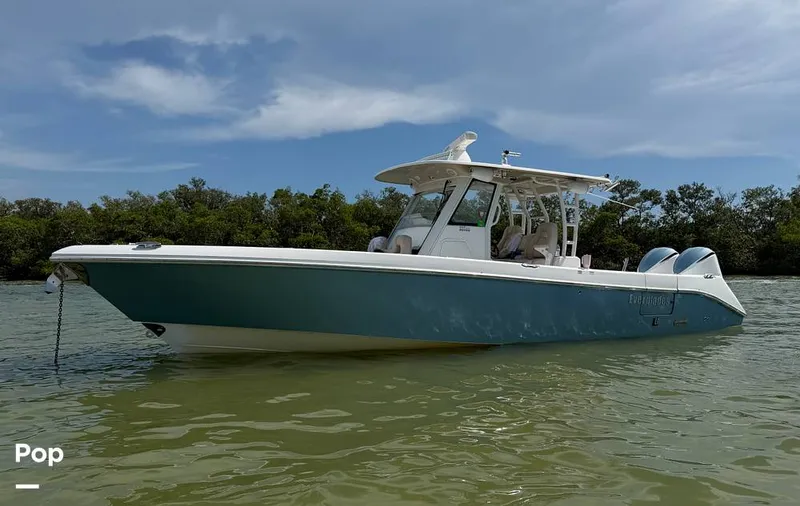 The Image of Everglades 335CC 2018 - 16598608