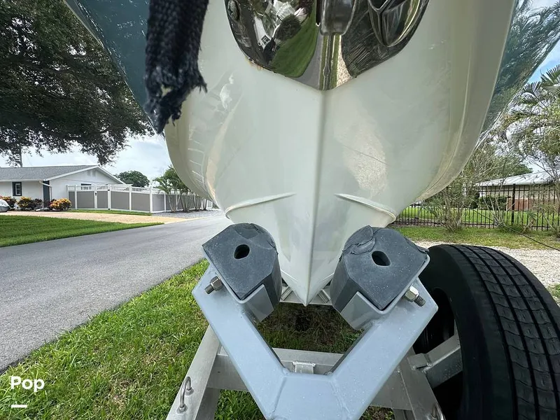 Slide: The Image of Everglades 335CC 2018 - 16632088
