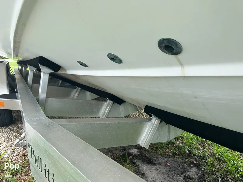 Slide: The Image of Everglades 335CC 2018 - 16632108