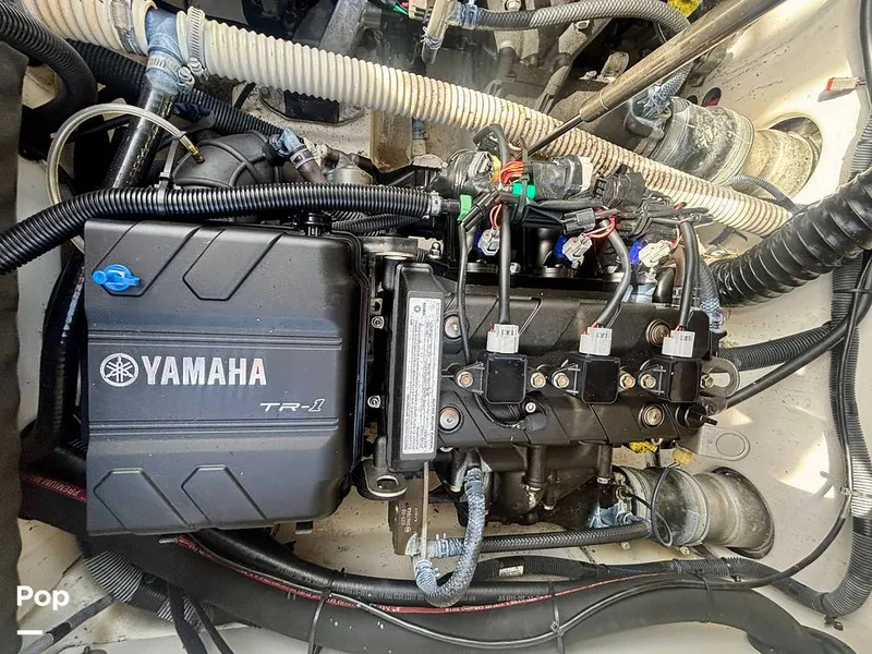 Slide: The Image of Yamaha 210 FSH Sport 2018 - 16641691