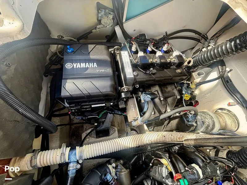 Slide: The Image of Yamaha 210 FSH Sport 2018 - 16641689