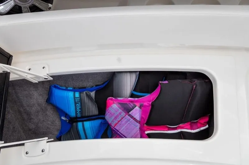 Slide: The Image of Sea Ray SLX 310 2026 - 13