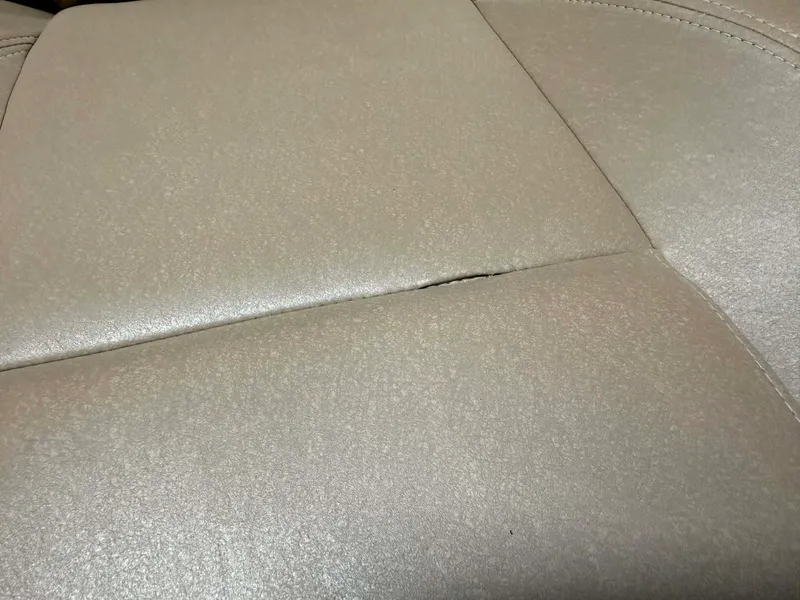 Slide: The Image of Premier 290 GRANDVIEW 2020 - 101