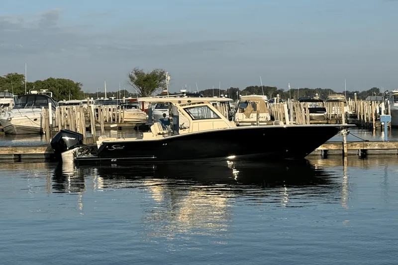 The Image of Scout 305 LXF 2025 - 0