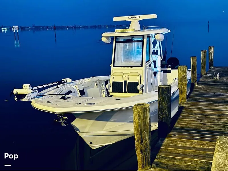 Slide: The Image of Tidewater 292cc 2024 - 16658736