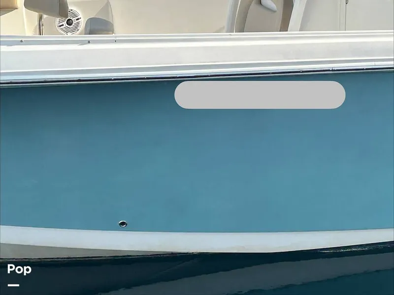 Slide: The Image of Sailfish 290 CC 2017 - 16725386