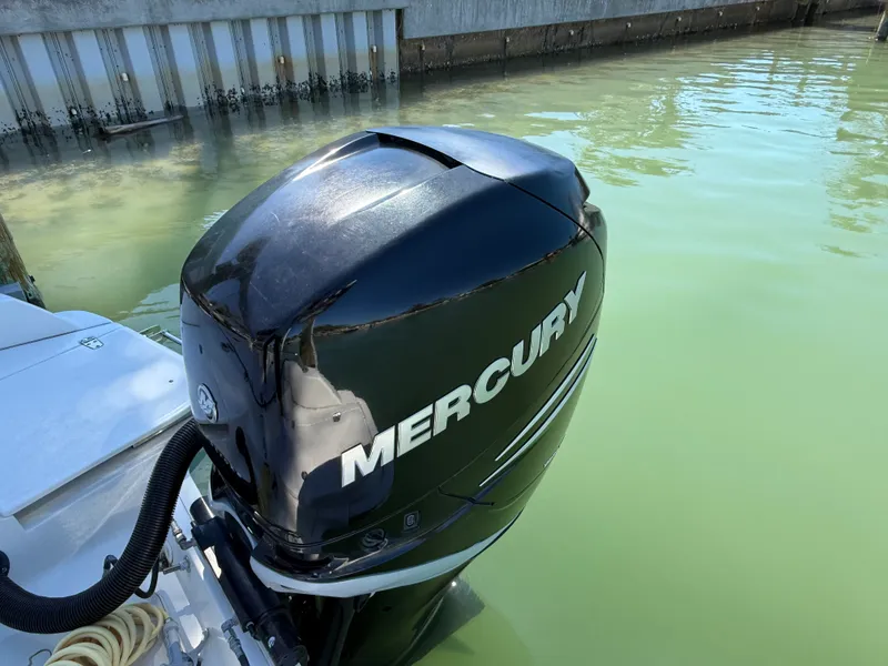 Slide: The Image of Boston Whaler 240 DAUNTLESS 2018 - 11