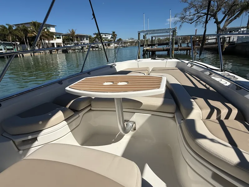 Slide: The Image of Boston Whaler 240 DAUNTLESS 2018 - 12