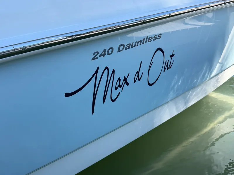 Slide: The Image of Boston Whaler 240 DAUNTLESS 2018 - 16